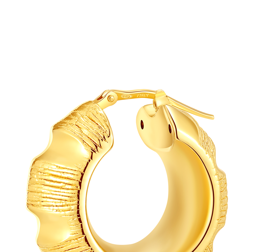 Rigato Snail-Shape Earrings